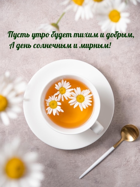 Пусть утро будет тихим и добрым, а день солнечным и мирным!