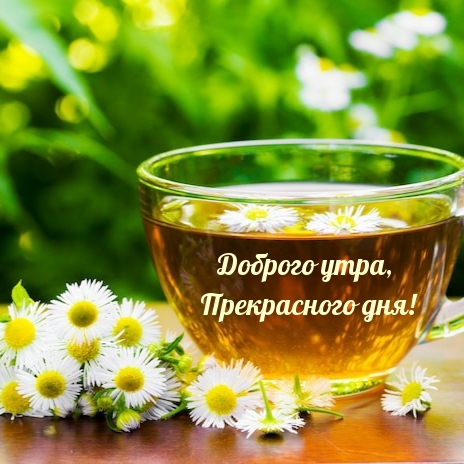 Доброго утра, Прекрасного дня!