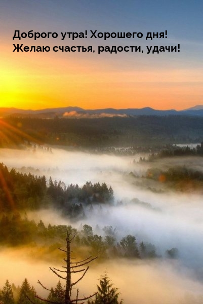 Доброго утра! Хорошего дня! Желаю счастья, радости, удачи! 
