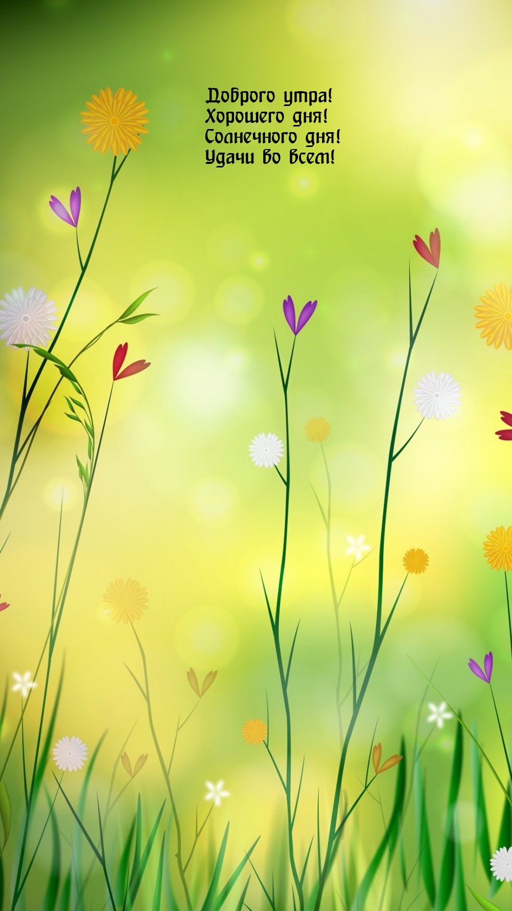 Доброго утра! Хорошего дня! Солнечного дня! Удачи во всем!
