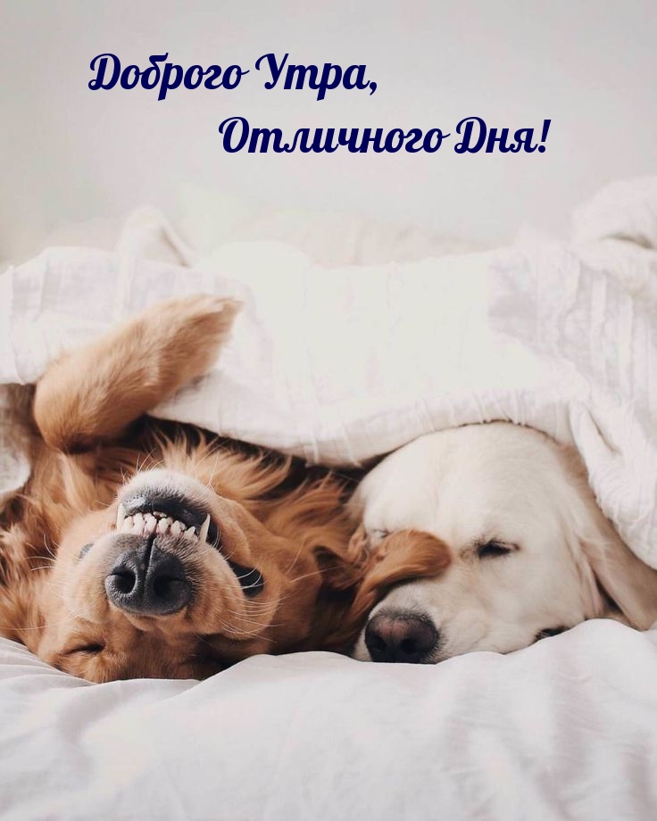 Доброго Утра, Отличного Дня!