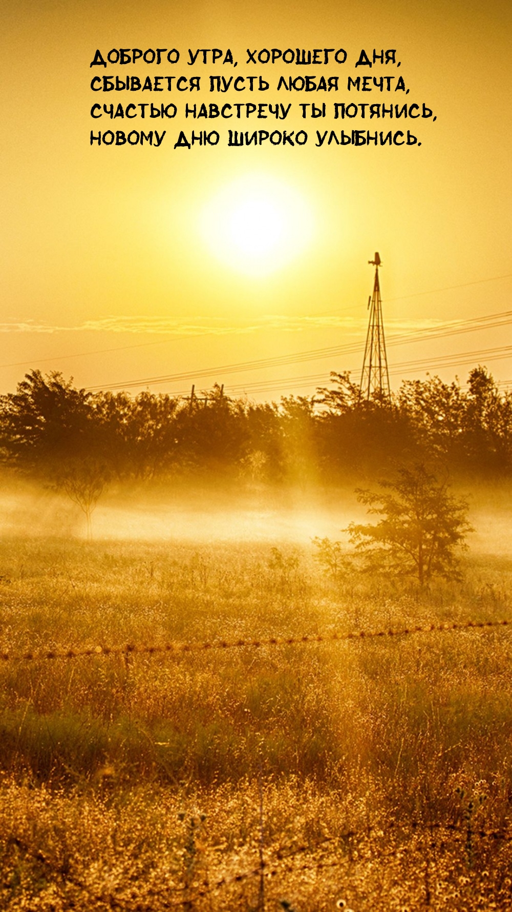 Доброго утра, хорошего дня, сбывается пусть любая мечта