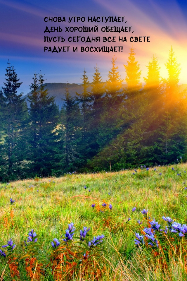 Снова утро наступает, день хороший обещает