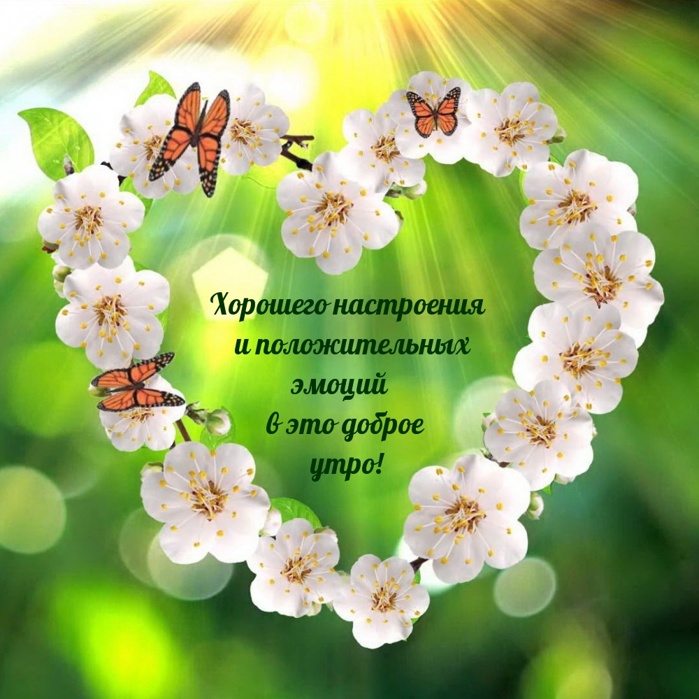 Хорошего настроения и положительных эмоций в это доброе утро!