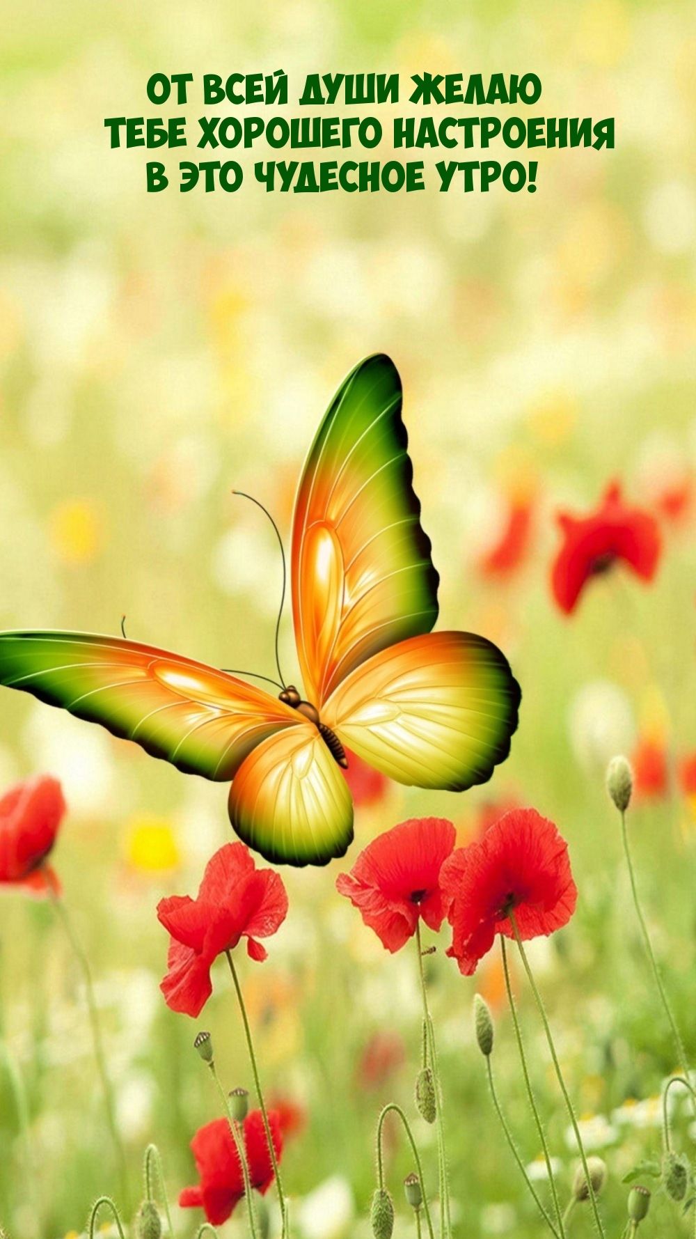От всей души желаю хорошего настроения в это чудесное утро!