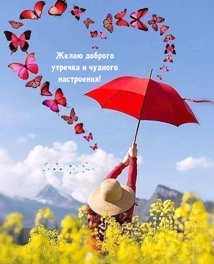 Желаю доброго утречка и чудного настроения!