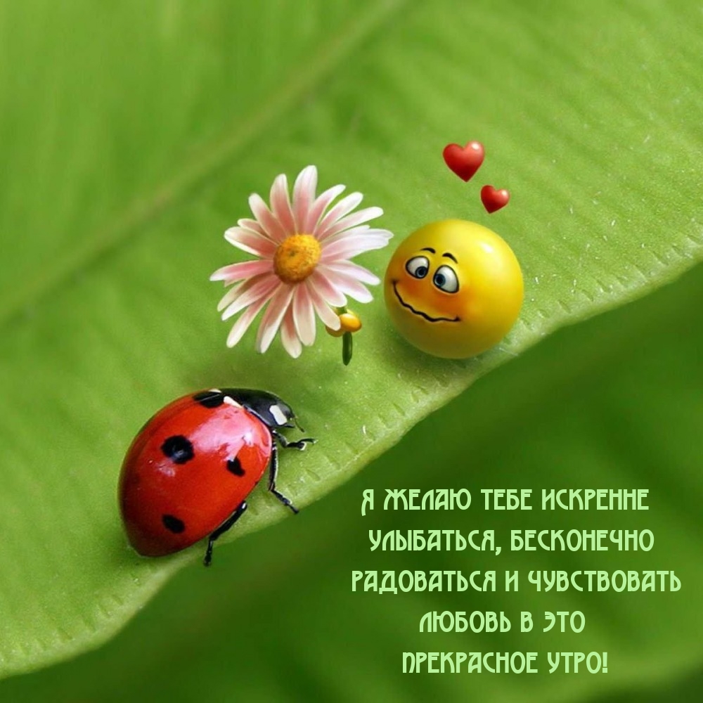 Я желаю тебе искренне улыбаться, бесконечно радоваться