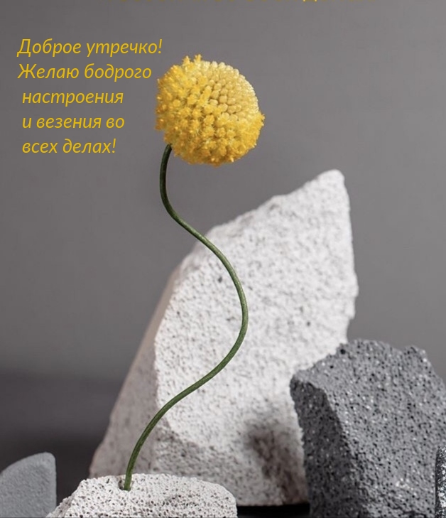 Доброе утречко! Желаю бодрого настроения и везения во всех делах!