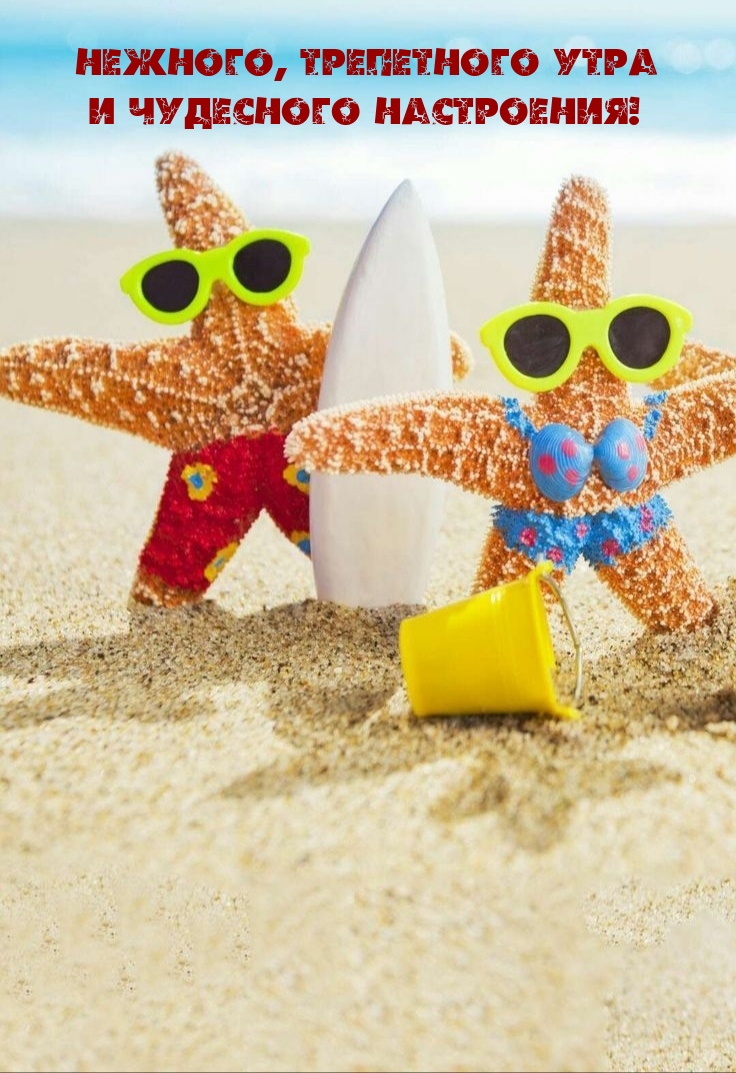 Нежного, трепетного утра и чудесного настроения! 