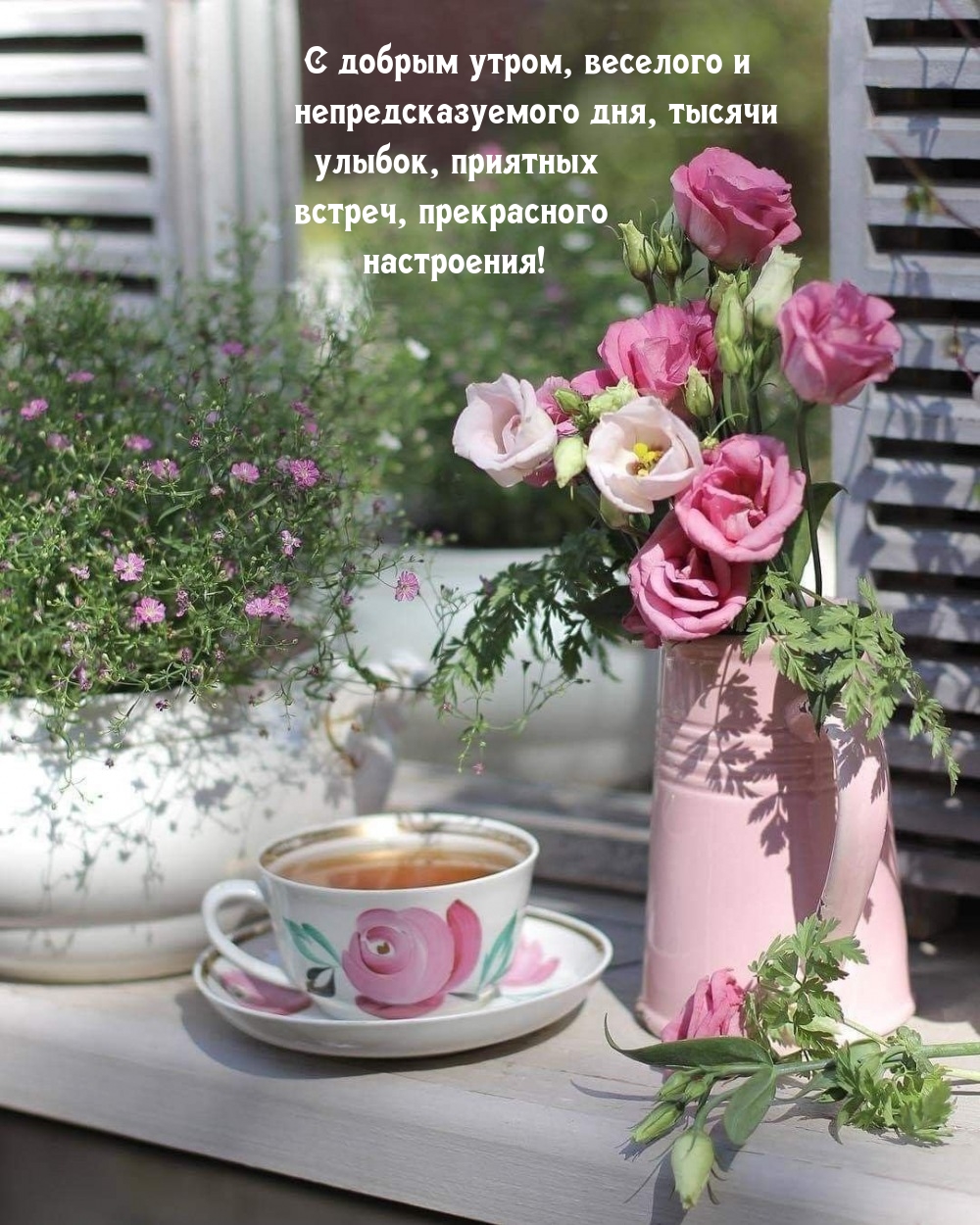 С добрым утром, веселого и непредсказуемого дня