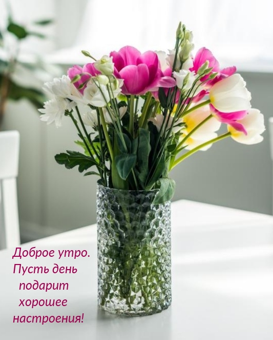 Доброе утро. Пусть день подарит хорошее настроения!
