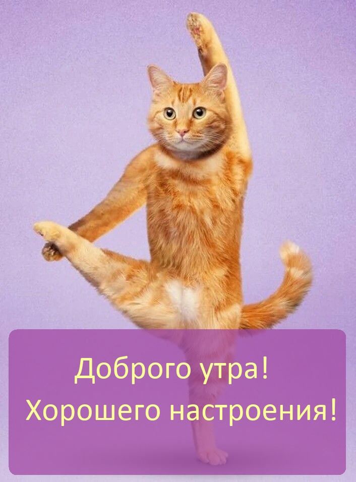 Доброго утра!  Хорошего настроения!