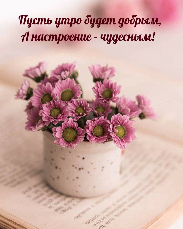Пусть утро будет добрым, а настроение - чудесным!