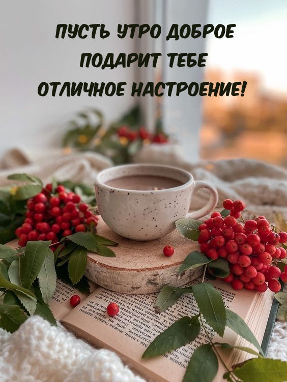 Пусть утро доброе подарит тебе отличное настроение!