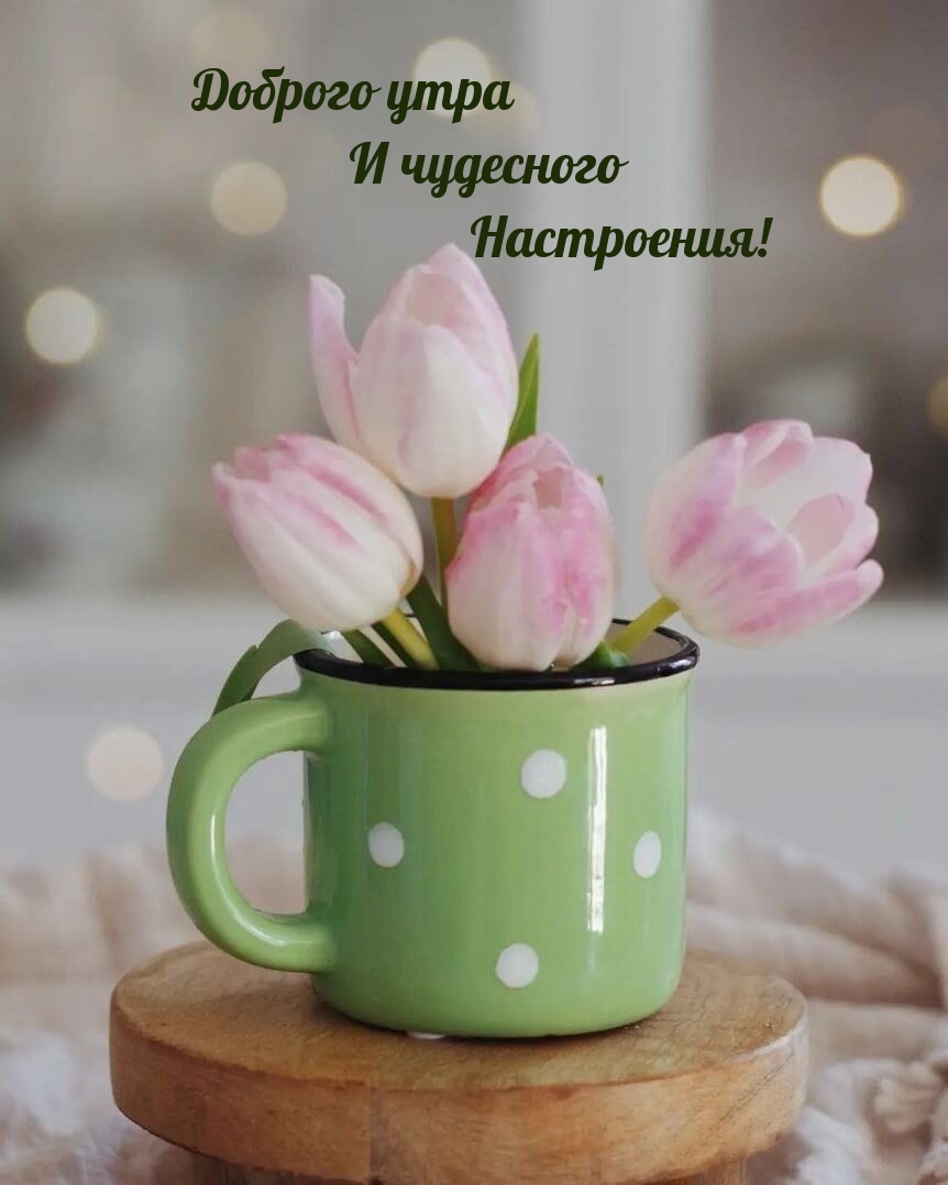 Доброго утра и чудесного настроения!