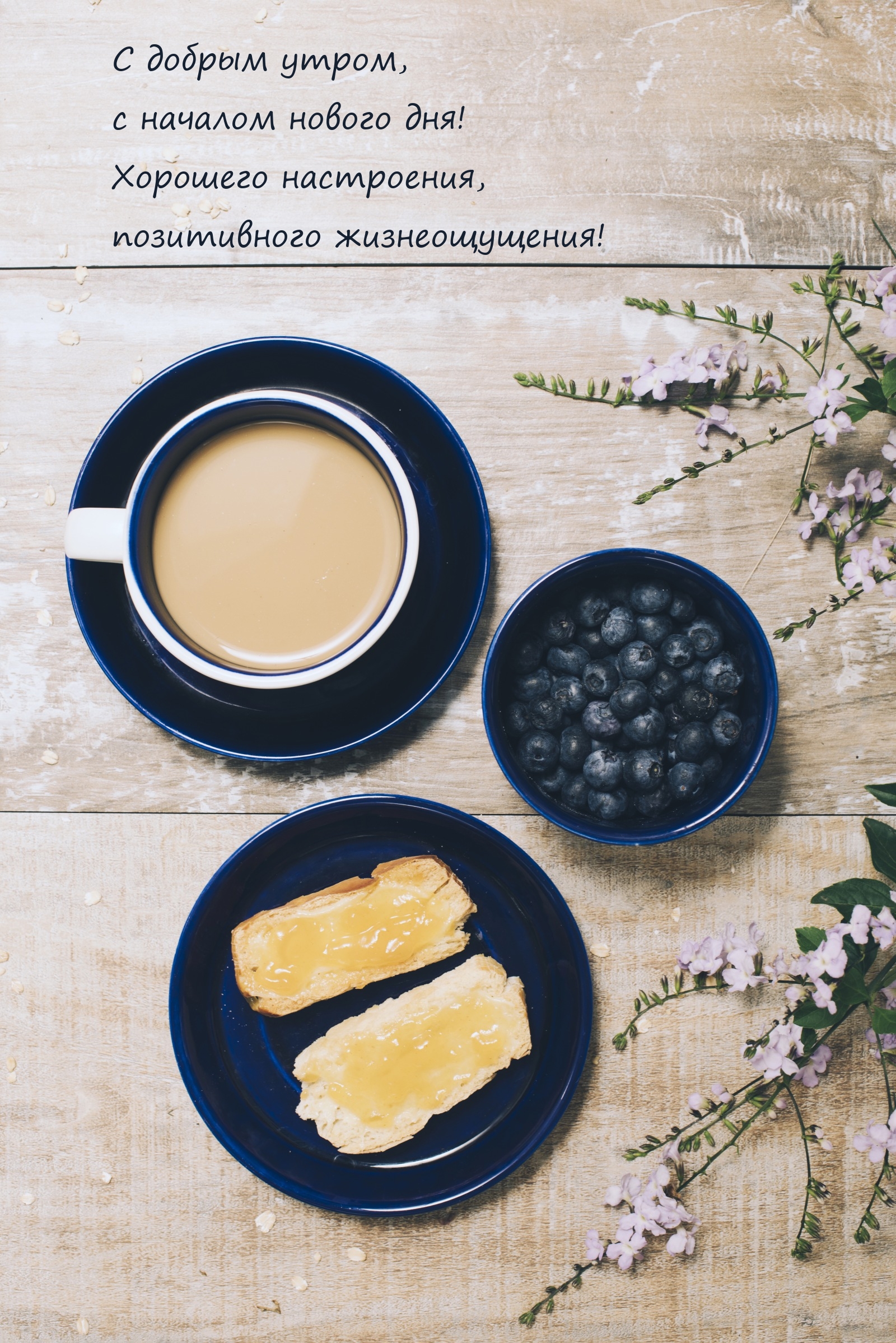 С добрым утром, с началом нового дня! Хорошего настроения