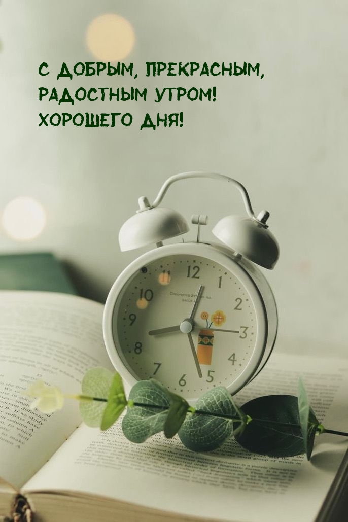 С добрым, прекрасным, радостным утром! Хорошего дня!