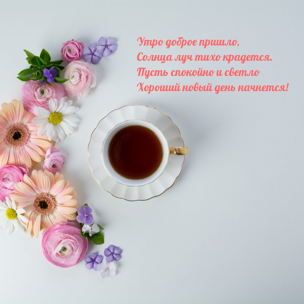 Утро доброе пришло, солнца луч тихо крадется.