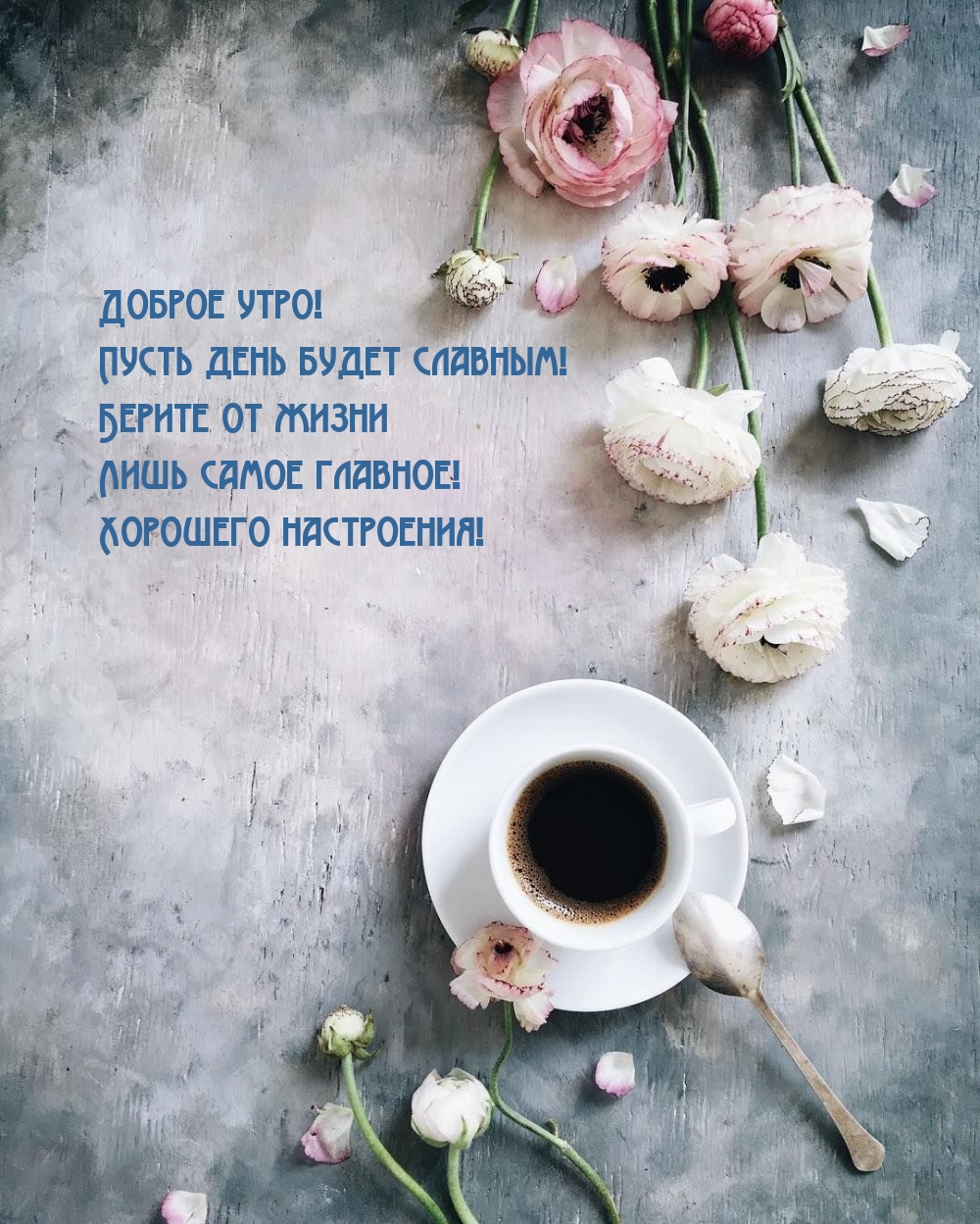 Доброе утро! Пусть день будет славным!