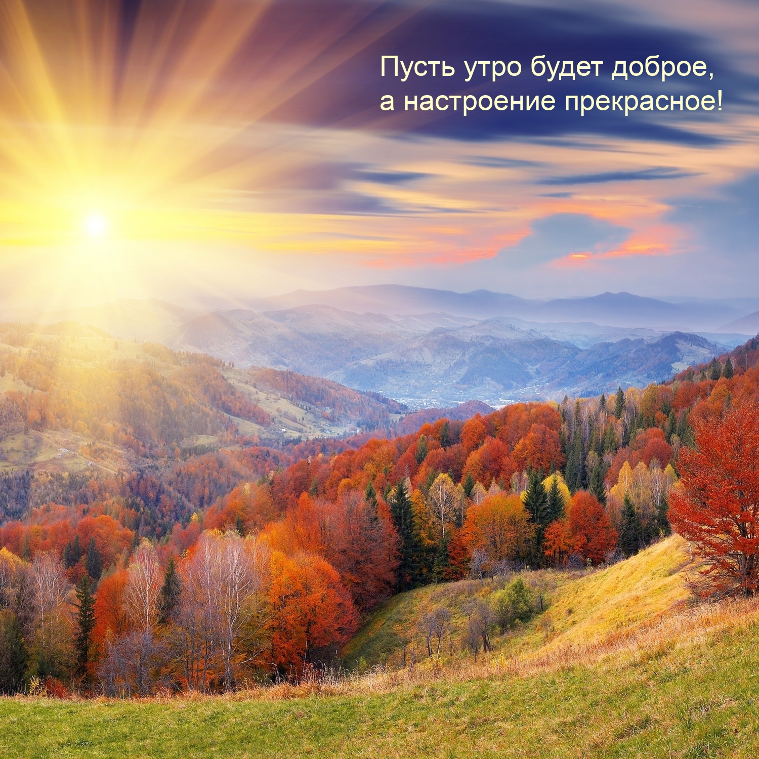 Пусть утро будет доброе, а настроение прекрасное!