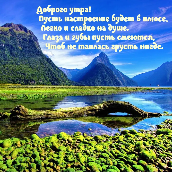 Доброго утра! Пусть настроение будет в плюсе, легко на душе.