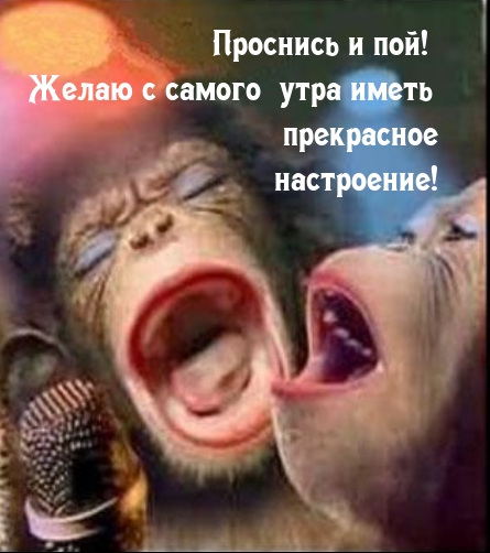 Проснись и пой! Желаю с самого утра иметь прекрасное настроение! 