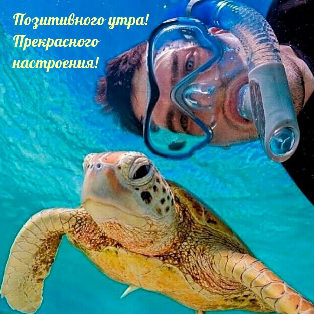Позитивного утра! Прекрасного настроения! 