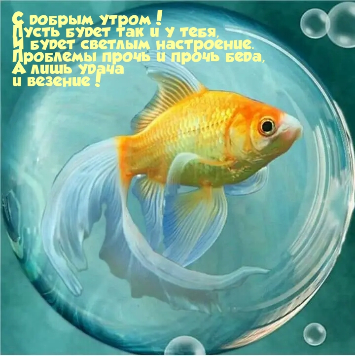 С добрым утром! Пусть будет так и у тебя, и будет светлым настроение