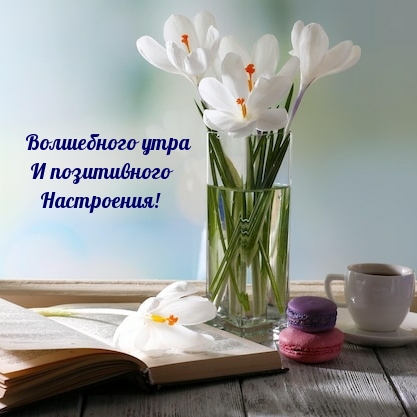 Волшебного утра и позитивного настроения!