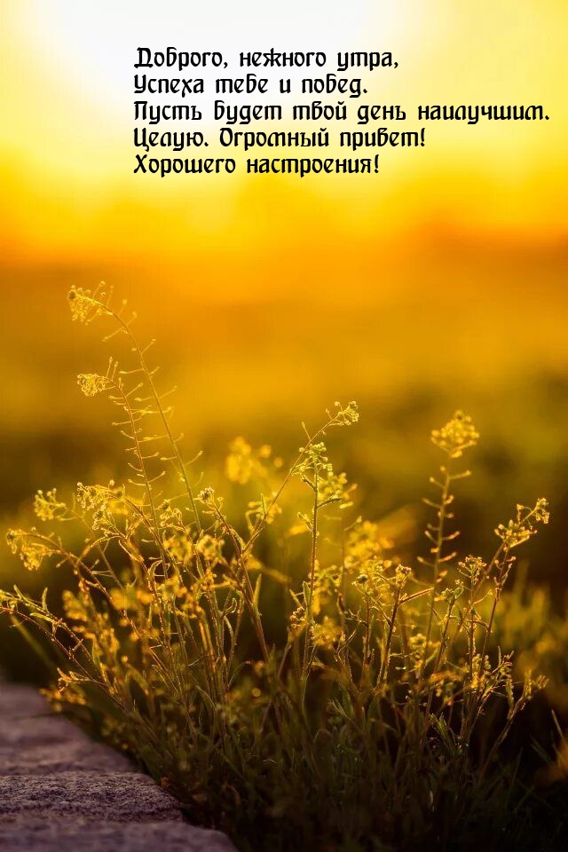 Доброго, нежного утра, успеха тебе и побед.