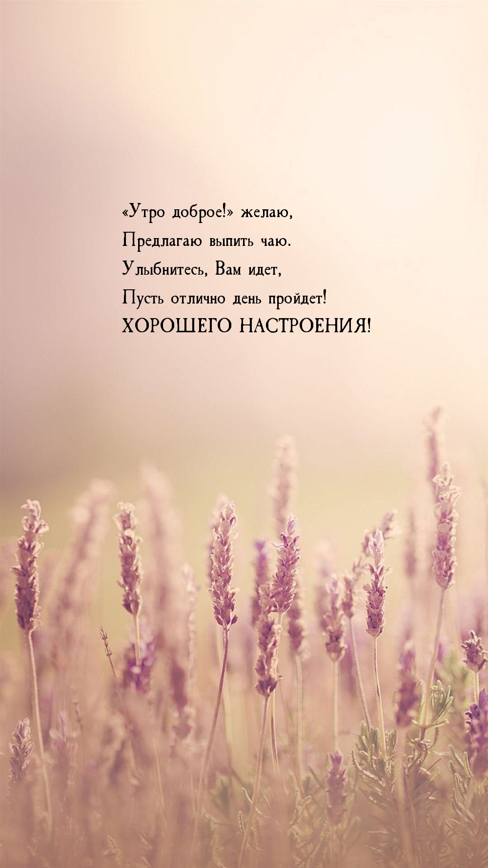 «Утро доброе!» желаю, предлагаю выпить чаю. Хорошего настроения!