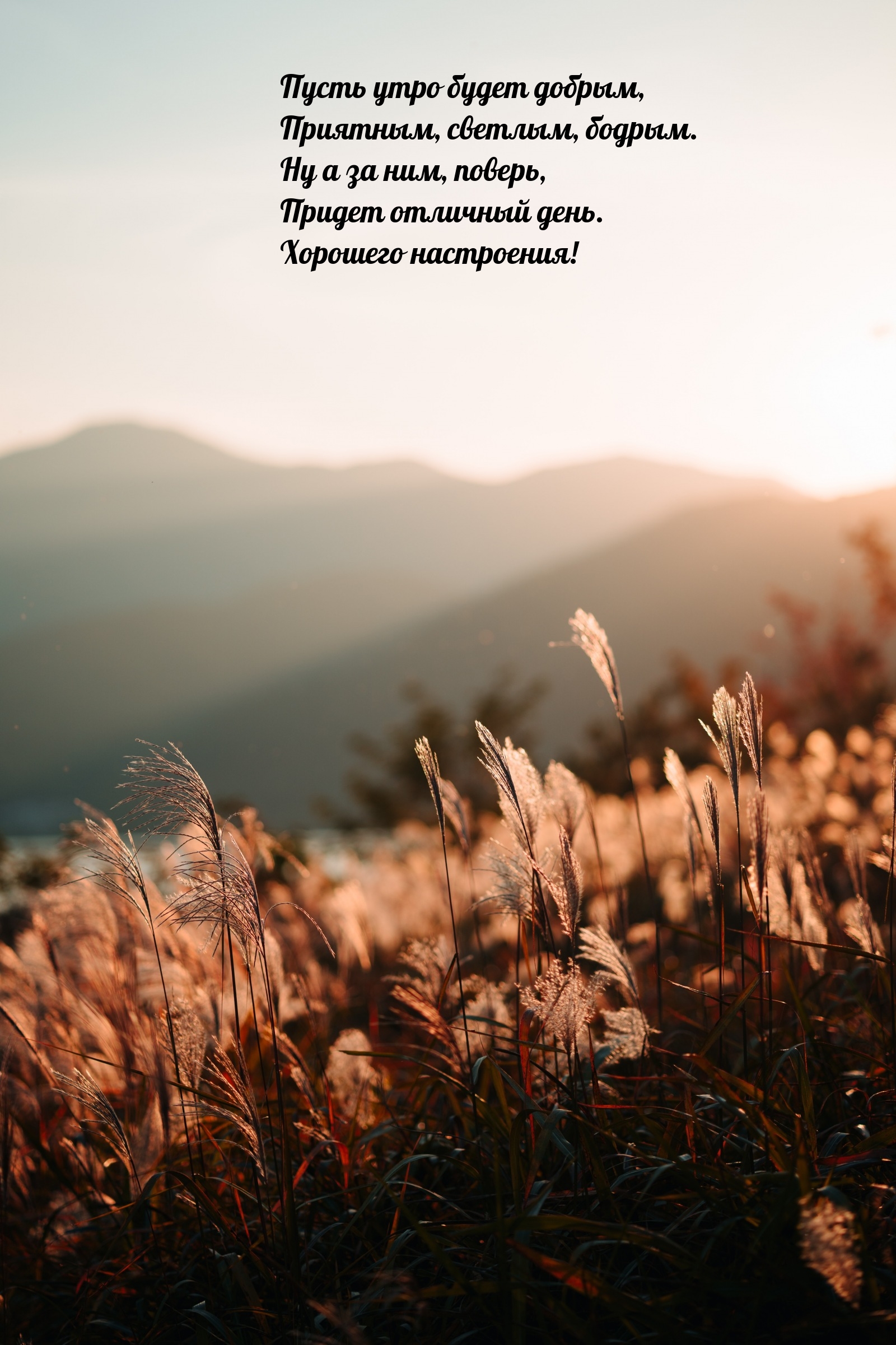 Пусть утро будет добрым, приятным, светлым, бодрым.