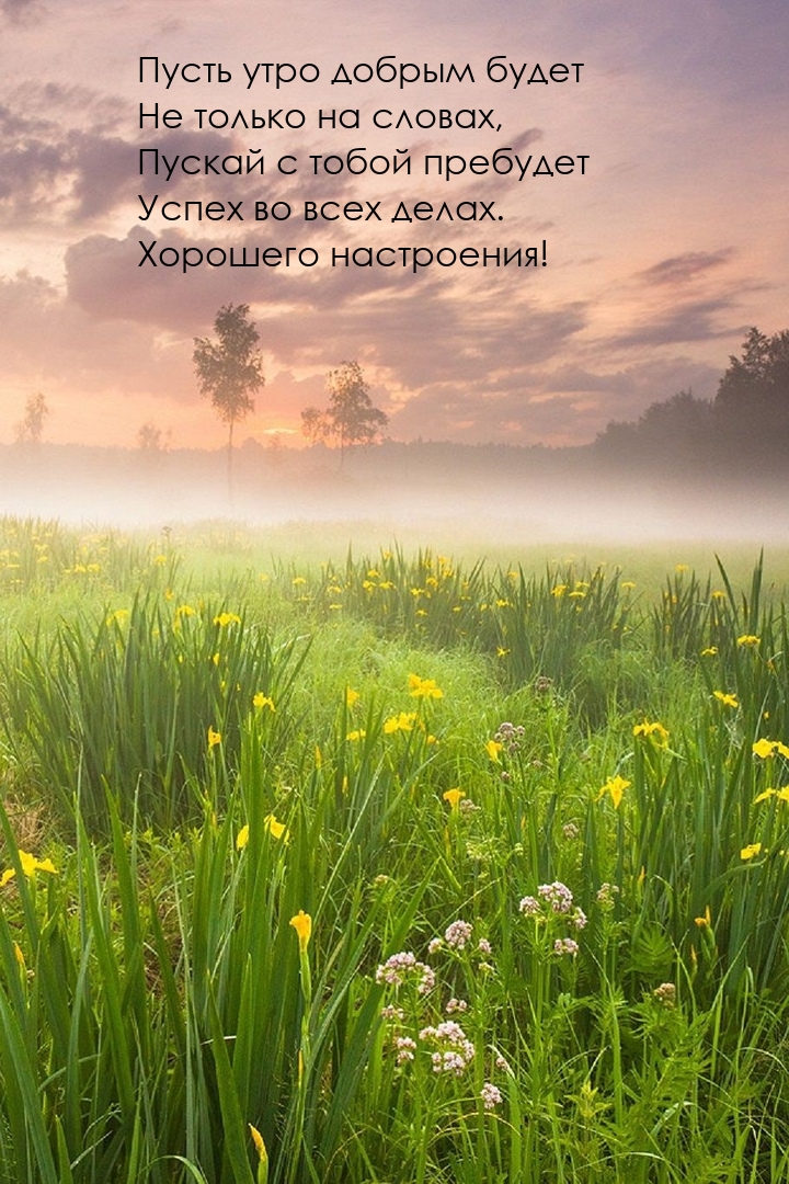 Пусть утро добрым будет не только на словах