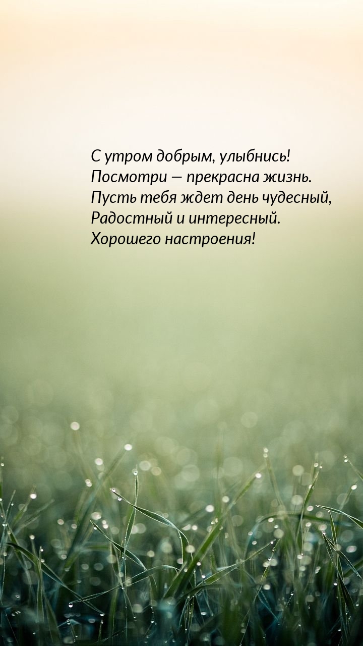 С утром добрым, улыбнись! Посмотри — прекрасна жизнь.