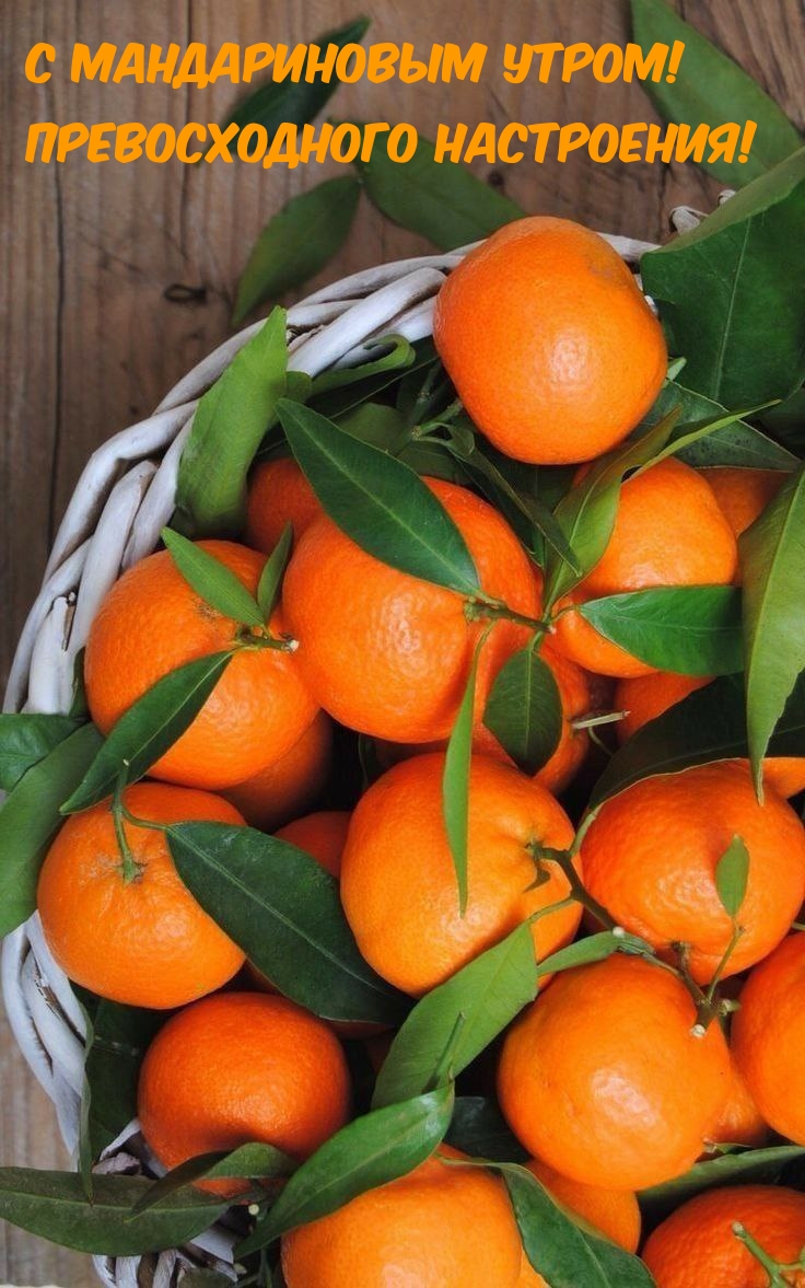 С мандариновым утром! Превосходного настроения!