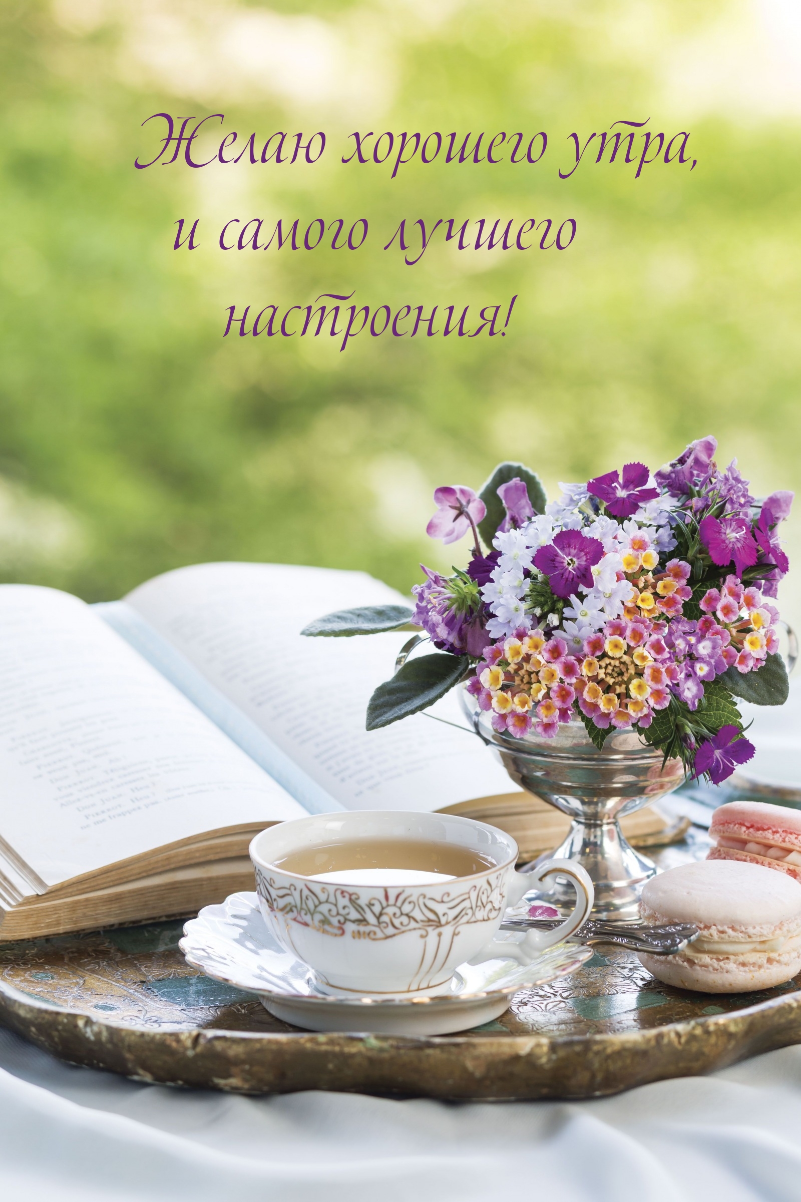 Желаю хорошего утра, и самого лучшего настроения!