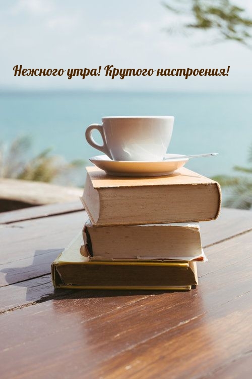 Нежного утра! Крутого настроения!