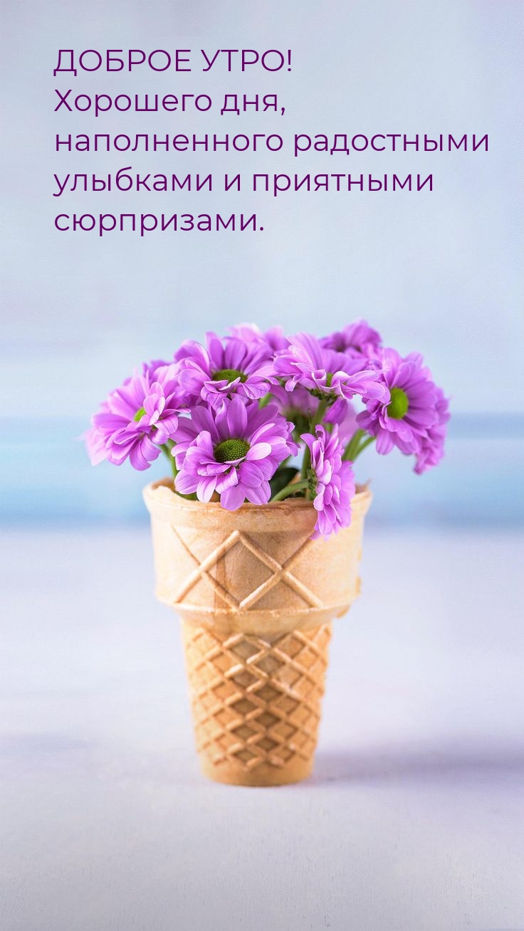 Доброе утро! Хорошего дня, наполненного радостными улыбками