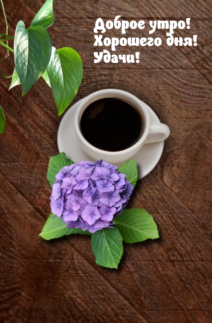 Доброе утро! Хорошего дня! Удачи!