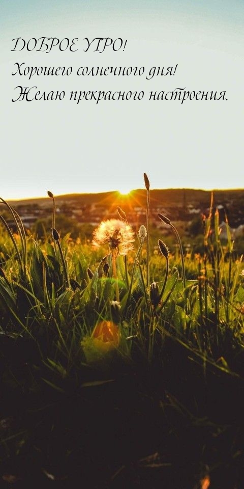 Доброе утро! Хорошего солнечного дня!