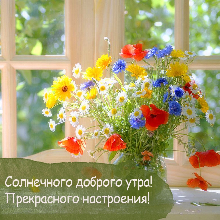 Солнечного доброго утра! Прекрасного настроения!