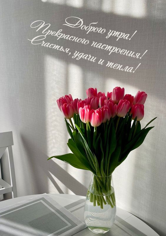 Доброго утра! Прекрасного настроения! Счастья, удачи и тепла!