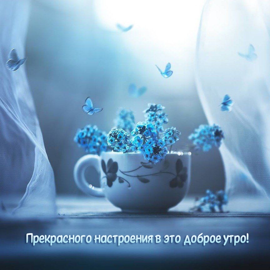 Прекрасного настроения в это доброе утро!