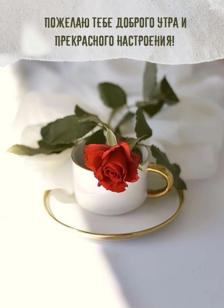 Пожелаю тебе доброго утра и прекрасного настроения!