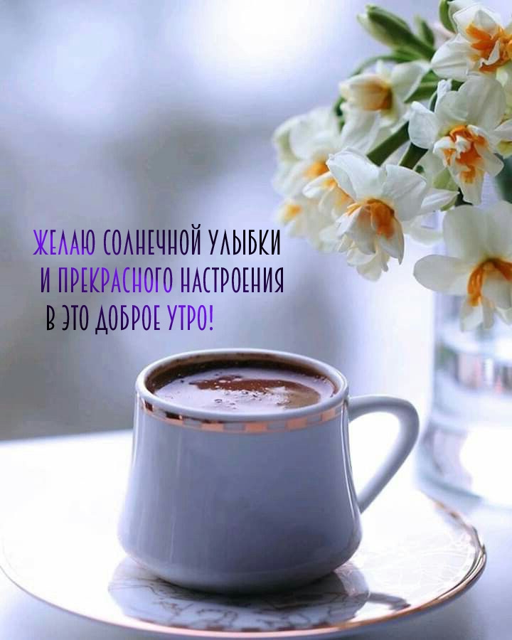 Солнечной улыбки и прекрасного настроения в это доброе утро!