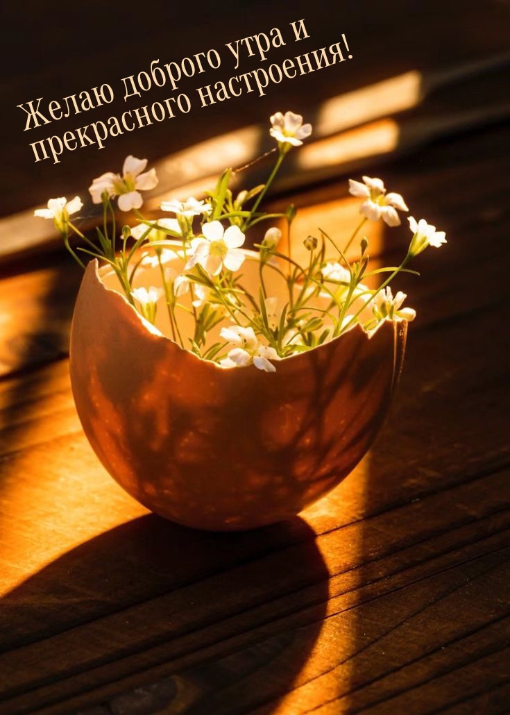 Желаю доброго утра и прекрасного настроения!