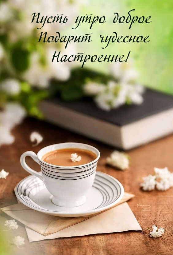 Пусть утро доброе подарит чудесное настроение!