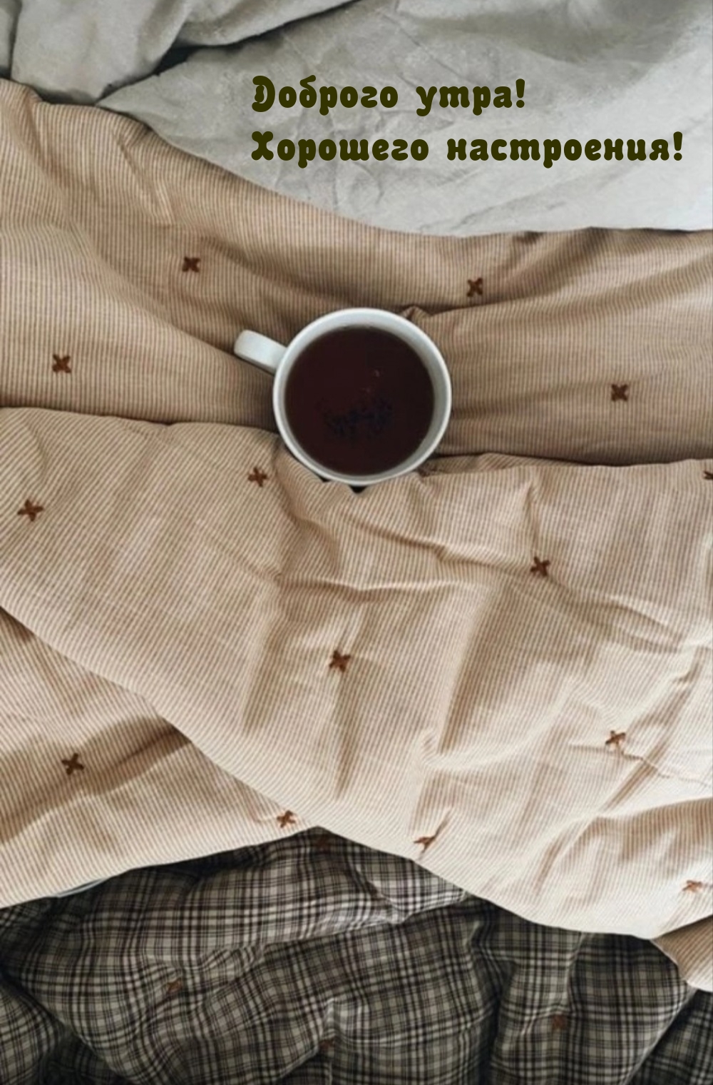 Доброго утра!  Хорошего настроения!