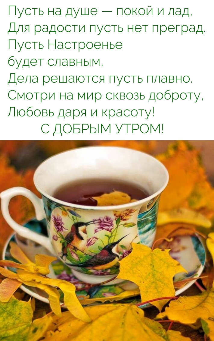 Смотри на мир сквозь доброту, любовь даря! С добрым утром!