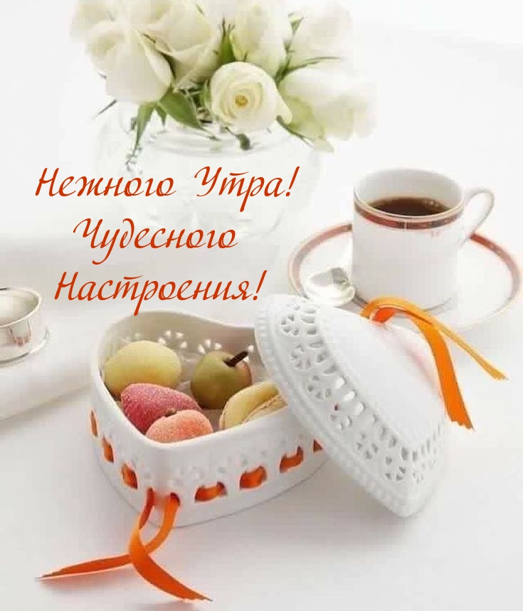 Нежного Утра! Чудесного Настроения!